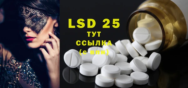 шишки Сатка