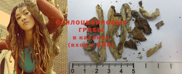 PSILOCYBIN Алексин
