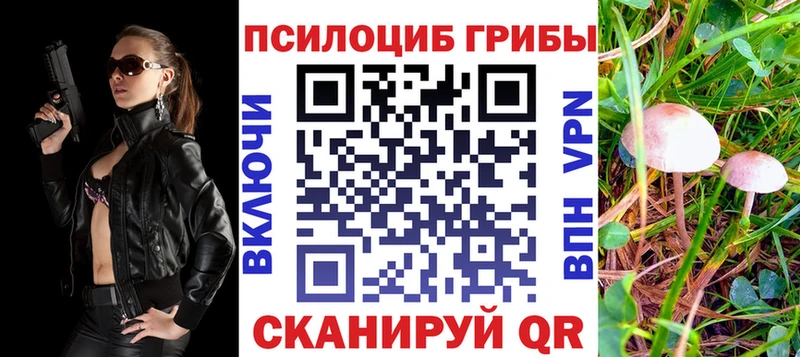 Галлюциногенные грибы Cubensis  купить закладку  Зерноград 